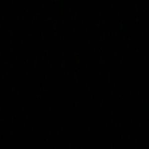 Meet your Posher, Brayden